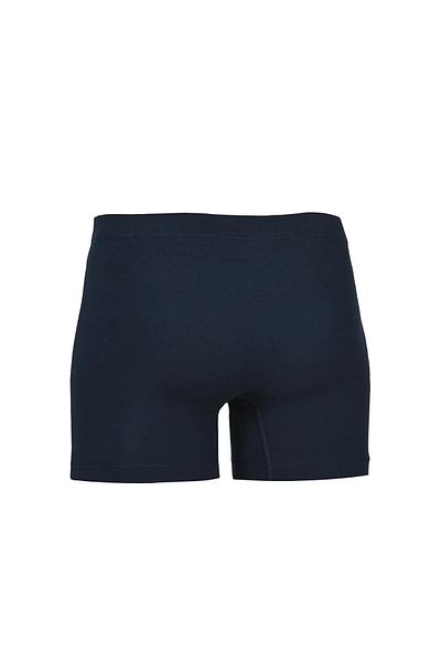 Şahin Ανδρικό Stretch Boxer 3 Τεμάχια - 47% Modal 47% Βαμβάκι 6% Elastane Stripe