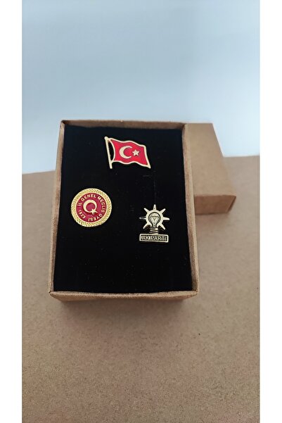 cacatasarım Türk Bayrağı İl Genel Meclis Üyesi ve Ak Parti Yazılı Yaka Rozeti...