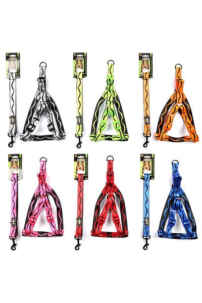 Doglife Patterned Dog Collar - Walking 2.5 CM