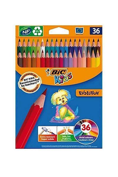 Bic Box of 36 Dry Paint Pens