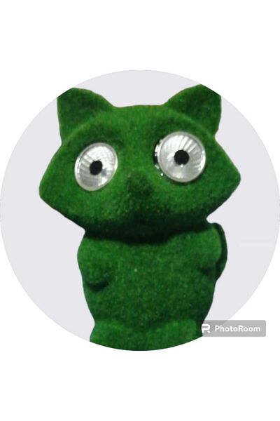 Garden Solar Decorative Lighting - Stylish and Useful