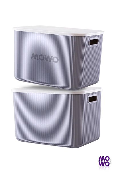 Mowo Home Trove 21 Liter Gray Storage Box - 2 Pieces, Multi-Purpose In-Cabinet Organizer with Lid