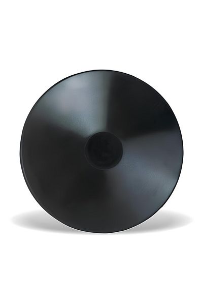 VİNEX Vinex 1 KG Rubber Disc