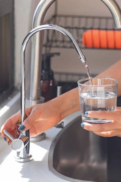 PLUSKIT Su Temizleme Cihazları Üçün Lüks Kran Gümüş Rengli Temizleyici Kran