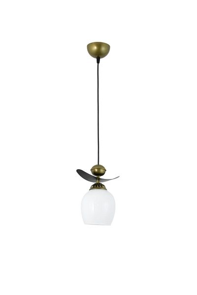 Lambadar Single Modern Style Boat Model Metal Glass Pendant Lamp Chandelier