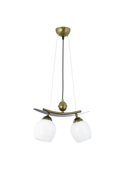 Lambadar Single Modern Style Boat Model Metal Glass Pendant Lamp Chandelier