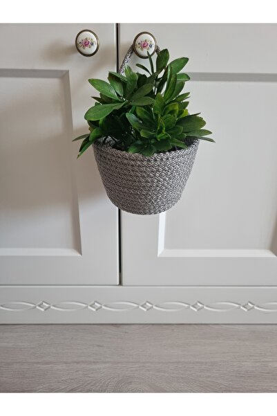 EGE ÖRGÜM Sepet Dekoratif Mini Saksılık 12x10 cm