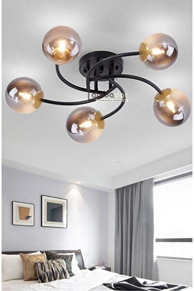 Lambadar Luxury Model Plafonyer Beşli Siyah Modern Füme Camlı Avize