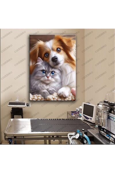 caddeko Pet Center Dekorasyon Veteriner Kliniği Tabloları Postmodern Kedi vtr30 vtr76