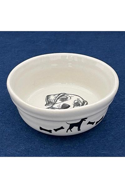 GOLD SERAMİK Ceramic Cat Dog Food & Water Bowl - 250 ml, Diameter: 12 cm