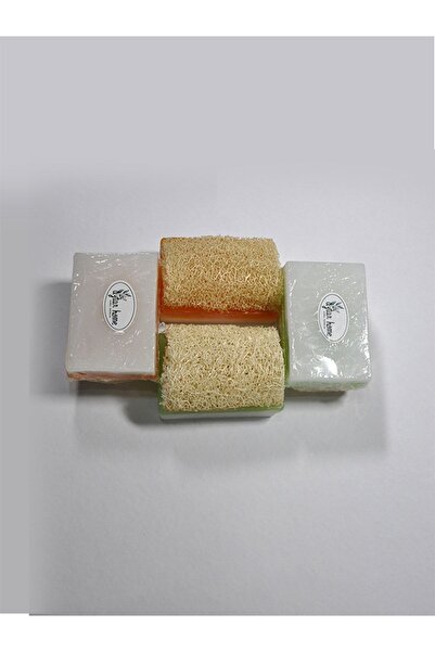 Aytan Home 100% صابون حليب الماعز المصنوع يدويًا من ألياف اليقطين الطبيعية والعسل ومجموعة من 2