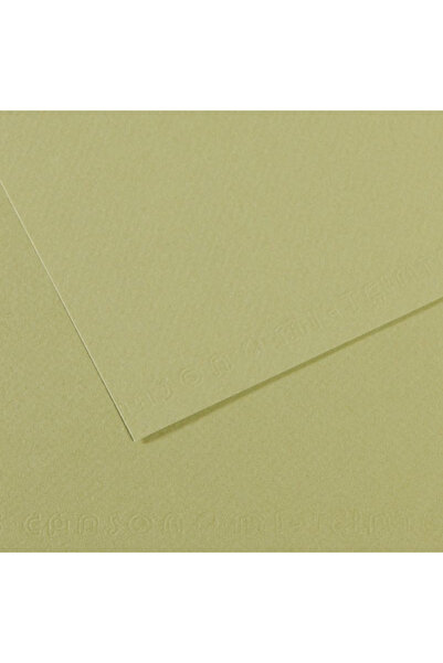 Canson FON KARTON 50x65 160 جرام (عبوة من 25 قطعة) أخضر فاتح 480 200321164 [ا...