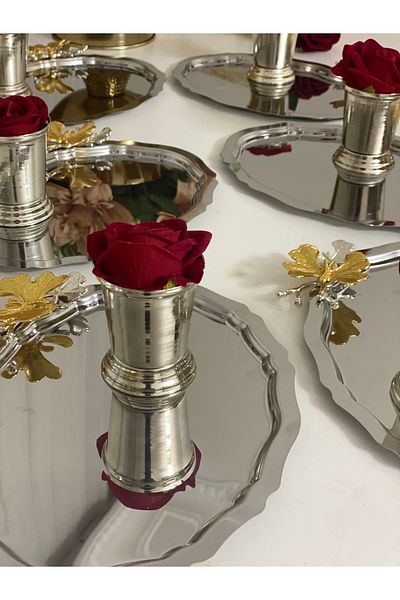Elzemm store 20*25 سم فراشة فولاذية بيضاوية - دلو ورد أحمر مع مجموعة من 6 قطع