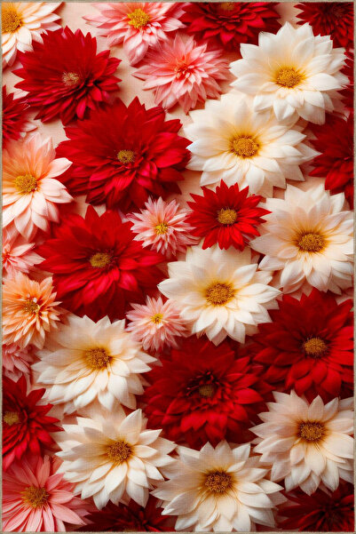 Rugs Modern Halı Floral Kırmızı Beyaz Açan Çiçekli Desenli Dekoratif ve Dokum...