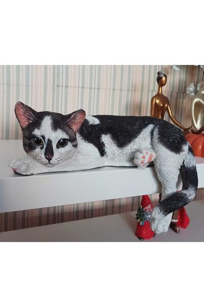 Sunseaart Uzanan Kedi Biblo