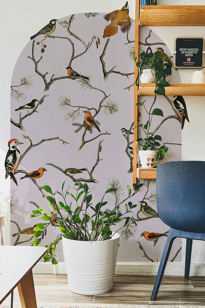 Kt Grup Kuş Cenneti Boho Kemer Arch Sanatsal Duvar Sticker