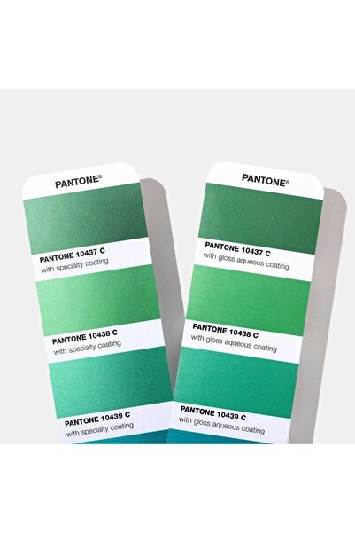 Pantone Metallics Guide