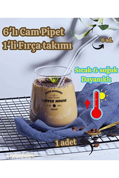 PİNK DESİGN KİTCHEN 6'li Cam Pipet Ve Pipet Temizleme Fırçası, Kalın Cam Pipet, Termosilikat (ısıya Dayanıklı)