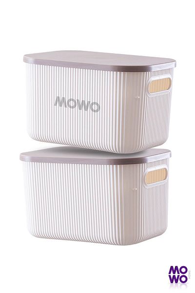 Mowo Home Trove 6.2 Liter 2 Pieces White Storage Box - Multi-Purpose with Closet Organizer Lid