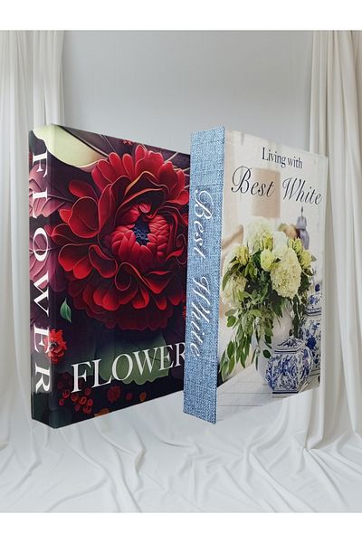 BayCazip Decorative Book Look Box Set of 2 Decorative Book Looking Box