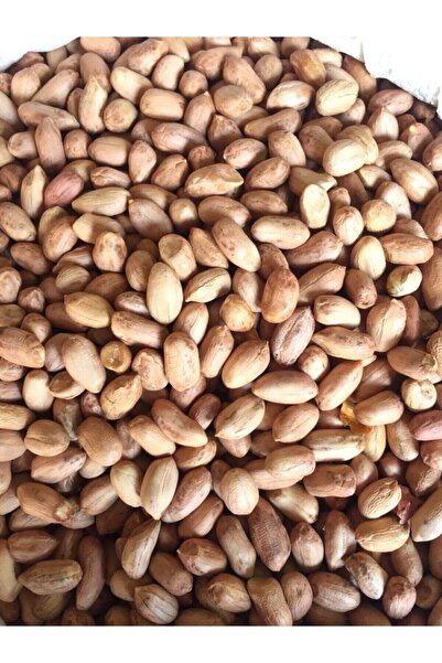 KİMYAGER FISTIKÇILIK VE KURUYEMİŞ Çiğ (KAVRULMAMIŞ) Iri Boy Iç Yer Fıstığı 4000g