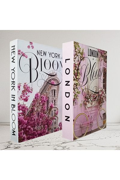 BayCazip Decorative Book Look Box Set of 2 Decorative Book Looking Box