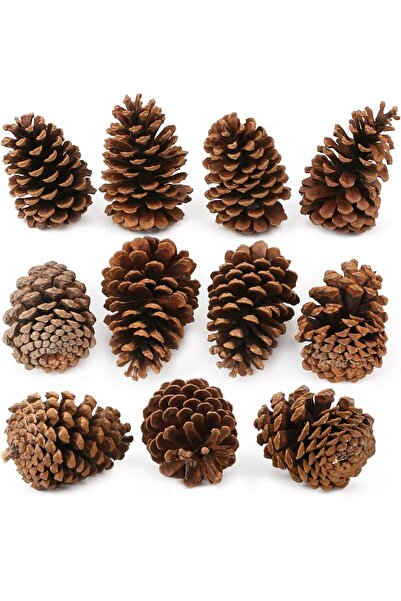 RUZGARCİCEK Rüzgar Aranjamente Florale Artificiale 12 Bucăți Conuri de Pin