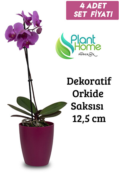 Genel Markalar Dekoratif Vişne Orkide Saksısı - A Adet Set Fiyatlı -12 Pot Ür...