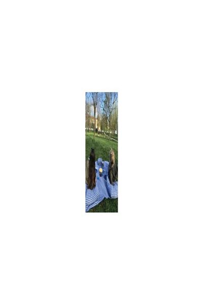 BELMOD 2 Pieces Picnic Set - Blue Plaid Checked Tablecloth, 160*160 cm / 40*40 cm