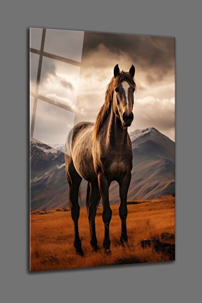 BV DEKOR ΓΥΑΛΙΝΗ ΠΙΝΑΚΙΔΑ - ASİL AT - ΓΥΑΛΙΝΗ ΠΙΝΑΚΙΔΑ ΑΠΟ ΣΚΛΗΡΥΜΕΝΟ ΓΥΑΛΙ 4...