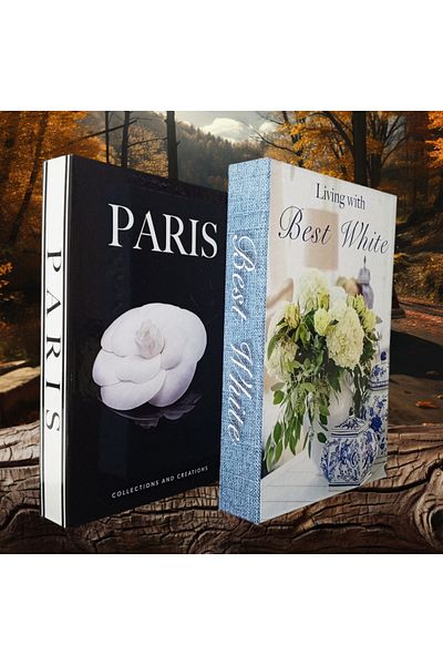 BayCazip 2-Piece Decorative Book Look Box Set