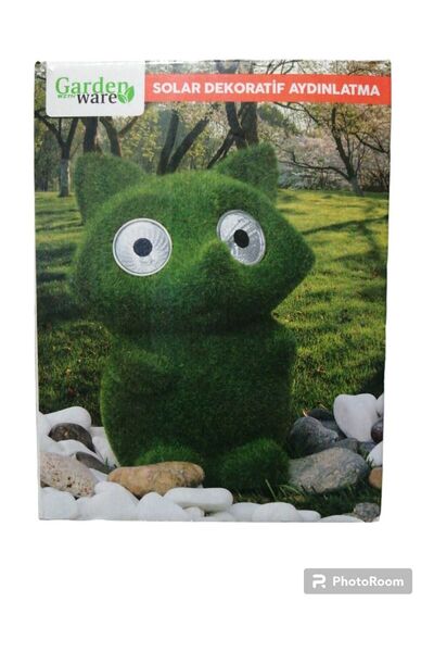 Garden Solar Decorative Lighting - Stylish and Useful