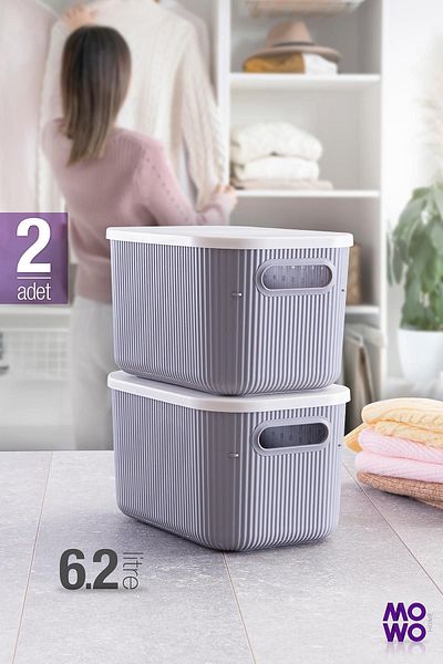 Mowo Home Trove 6.2 Liter Gray In-Cabinet Organizer 2 Pieces Storage Box - Multi-Purpose