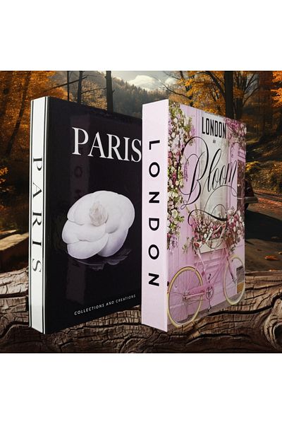 BayCazip Decorative Book Look Box Set of 2 Decorative Book Looking Box
