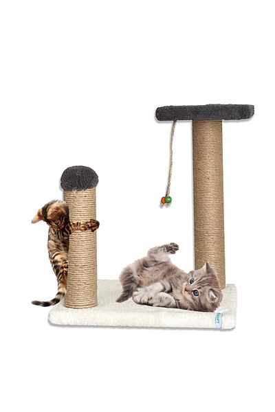 Nursoft Kitten Scratching and Step Playground - Cat Effect