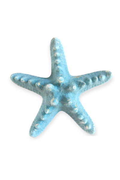 TRUE STARFISH 10-11 CM
