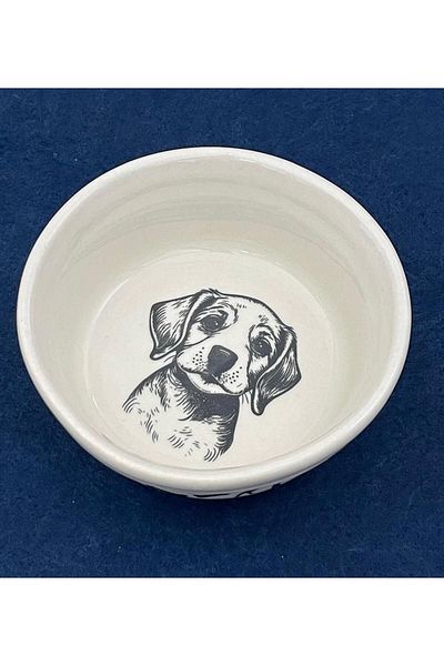 GOLD SERAMİK Ceramic Cat Dog Food & Water Bowl - 250 ml, Diameter: 12 cm