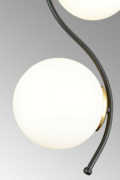 Lambadar Ikili Modern Glop Camlı Kıvrım Model Siyah Sarkıt Avize