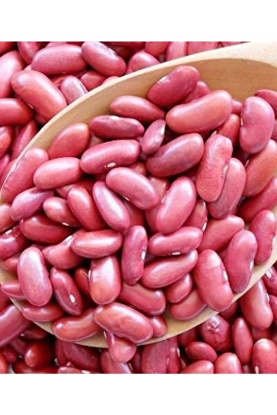 Seminis Fasülye Tohumu Gına Tipi Ipliksiz Oturak Fasulye Taze Fasulye 250 Gr