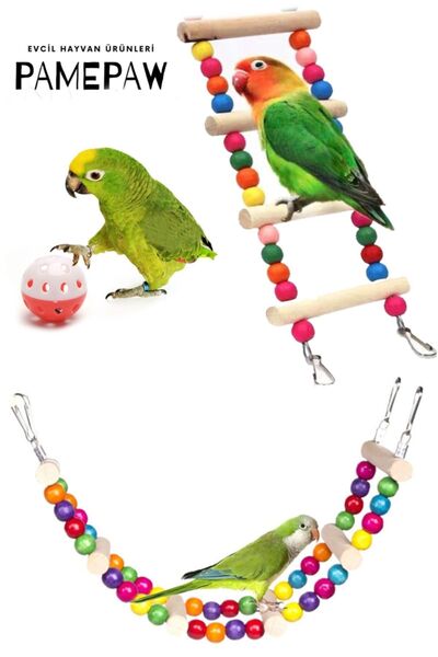 PAMEPAW Muhabbet Kuşu Ve Papağanlar Için Salıncak , Merdiven , Kuş Oyun Topu ...