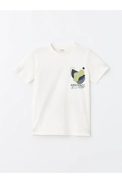 LC Waikiki LCW Kids Crew Neck Printed Short Sleeve Boys T-Shirt and Shorts