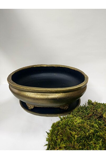 Bonsai Saksı 27 Cm Tabaklı Yosun Hediyeli!!!