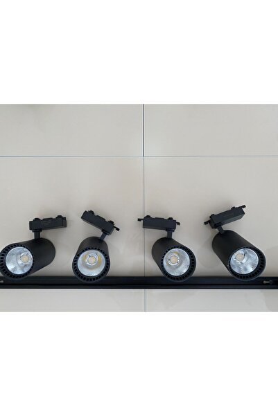 Led 4 Lü Ray Spot 30 Watt Günışığı