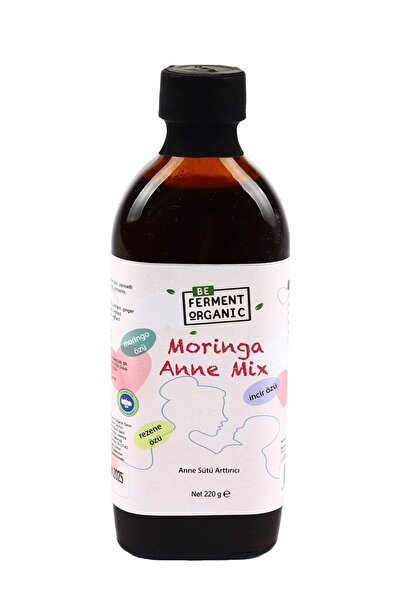 BEORGANİC Organik Anne Mix 220 G