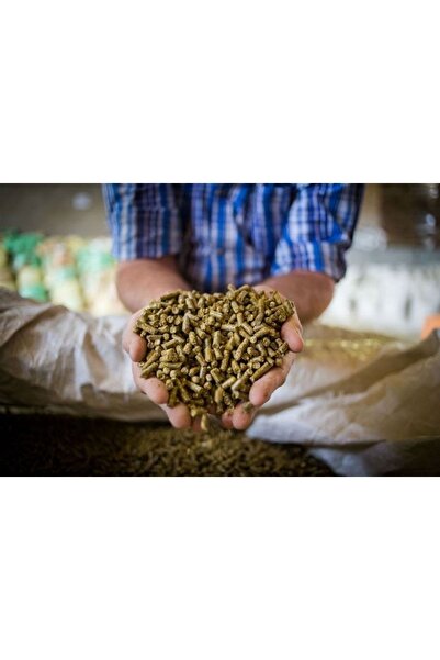 Güven Yem Kemirgen Yemi Tavşan Yemi Hamster Yemi 1 Kg