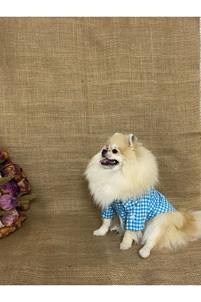 MARİA PET FASHİON Dog Cat Clothes & Dress & Shirt