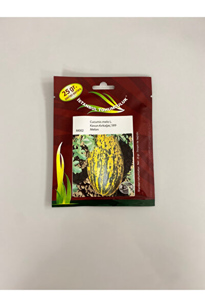 Kavun Kırkağaç 589 Melon (Cucumis Melo L.)