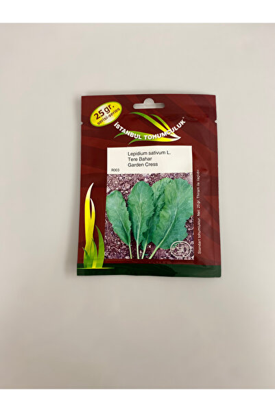 Tere Bahar Garden Cress (Lepidium Sativum L.)