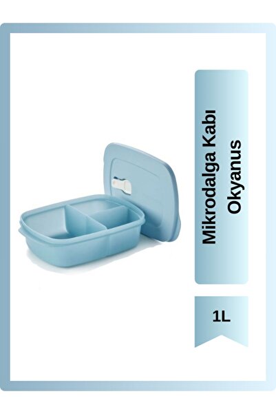 Tupperware Compartmented Microwave Container Ocean 1L