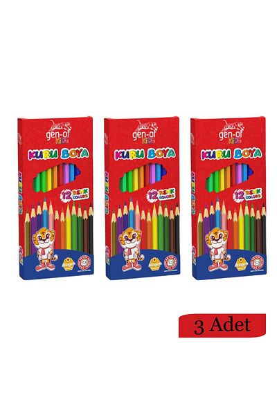 Gen-Of 12 Colored Full Size and Dry Size Cardboard Box - 3 Pieces